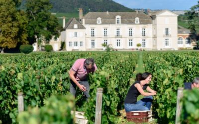 Partenariat Ride & Wine et le Chateau de Meursault
